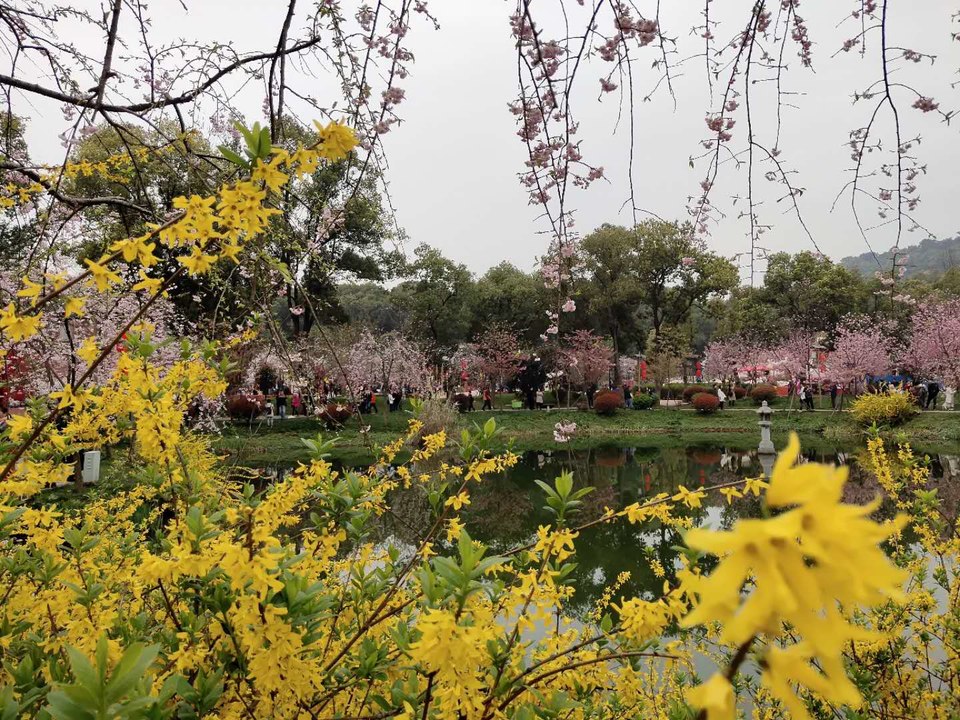 gp8pmbfpEkandtJojvHkSh0D6DjvP4vzoUfZDcFNH4k6o-Ig2NBtMxhHmUVOjJgw