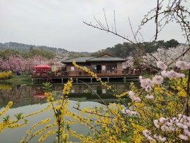 dARyfI7LTWgLlEfaHPcpb7Lhi_nqijp-5c5y4ZR79q04nAKwGsJusEqvEvCVwTwn