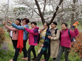 2kaIy-yedCoClsHOmMQAKWq6oVrv74Wb_TwubOO9X4Mtdc2sakENz9flMWh0EWv-