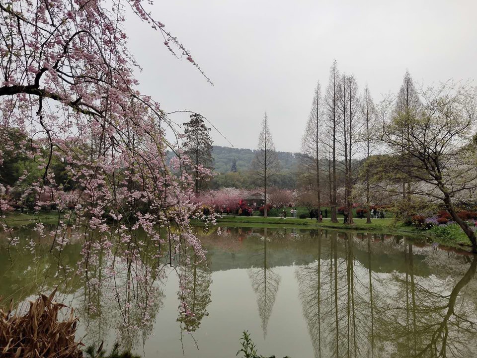 gn-VyxZFAEqEbXAj59fAvBVYKsFLfD8EQr7fllgNFHYWP5XmHJPEl1Zvr8QSKsDl