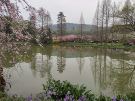 btcJKFkW1imRckdGjGlq1gCTRmgml0qiteomOLDxHhPuBwpeS2p3E6H2ffY5r45J