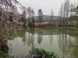 mRiNcn_92Zr4yfdLNAP9NnanfQLsrffHF9V40LnLBxehjO4VYoVJ_-SZNB6kw4Oi