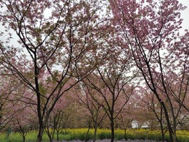 te-5bKON4wzwRY5cNkcQ-ET_Mc4LpGt8Hx6CiNhfzvGew1ATArrG9CqqBVAeqAkG