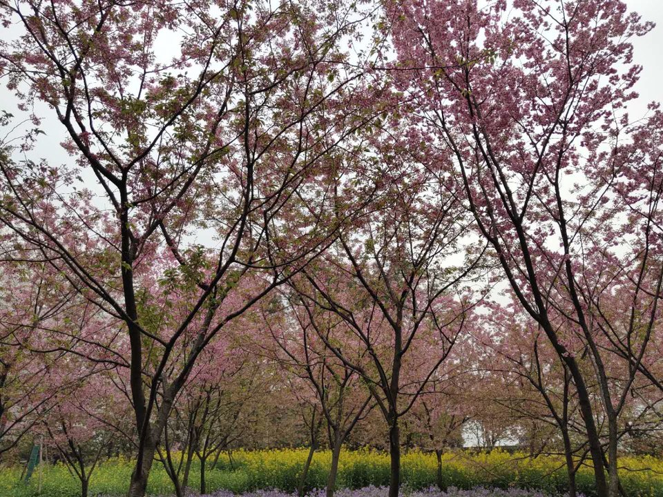 te-5bKON4wzwRY5cNkcQ-ET_Mc4LpGt8Hx6CiNhfzvGew1ATArrG9CqqBVAeqAkG