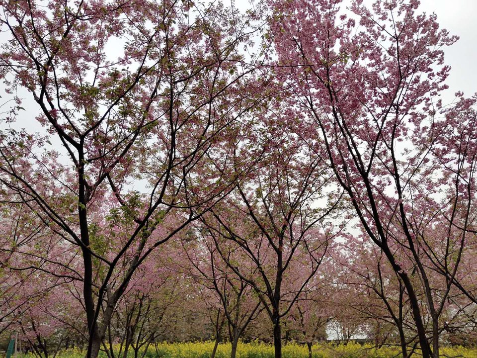 k_dbrYLVcWoWK2QiRUGRznu6bRvwalK1jYrTCoHhrOVKdD1xvN7-c4dxRfplWtlU