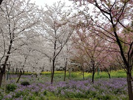 tqAjr0Xm0D1Va1jmE9BMQacHEyaG98QUEaXqUKEBR8-LeiGxerk4v9l7LPdFLEaN