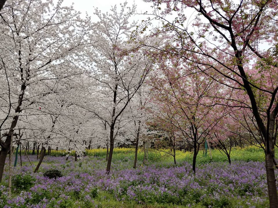 tqAjr0Xm0D1Va1jmE9BMQacHEyaG98QUEaXqUKEBR8-LeiGxerk4v9l7LPdFLEaN