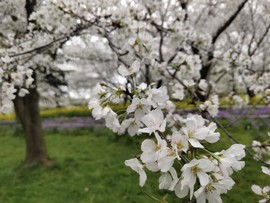 MB2J9IapFQgrKTUgo3-f6xUTStWfOvh9DwJD3WZilzKWWOzPn-UcC2AwdPFDfZlq