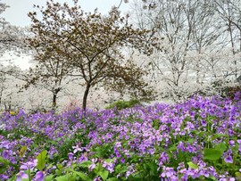 0e3giwta2QaSA6C5sVAdlx5D6Hnapl-BAO5baRzN7CN01rrqTrVEOuK6GTUiSyew