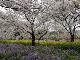 ORr97yCSVWJH10V0iJU6Hc2yYA-r_OIYmTh0MZ3Zf9C-18r2_yIgbbIJSegeM5pI