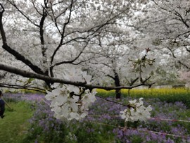 PIsaTtOvHun5_bUyi5FMJq9Y-dKepZpzCQ0bNRGsFy5x3p1K3BV3ERjq2KoKPCfz