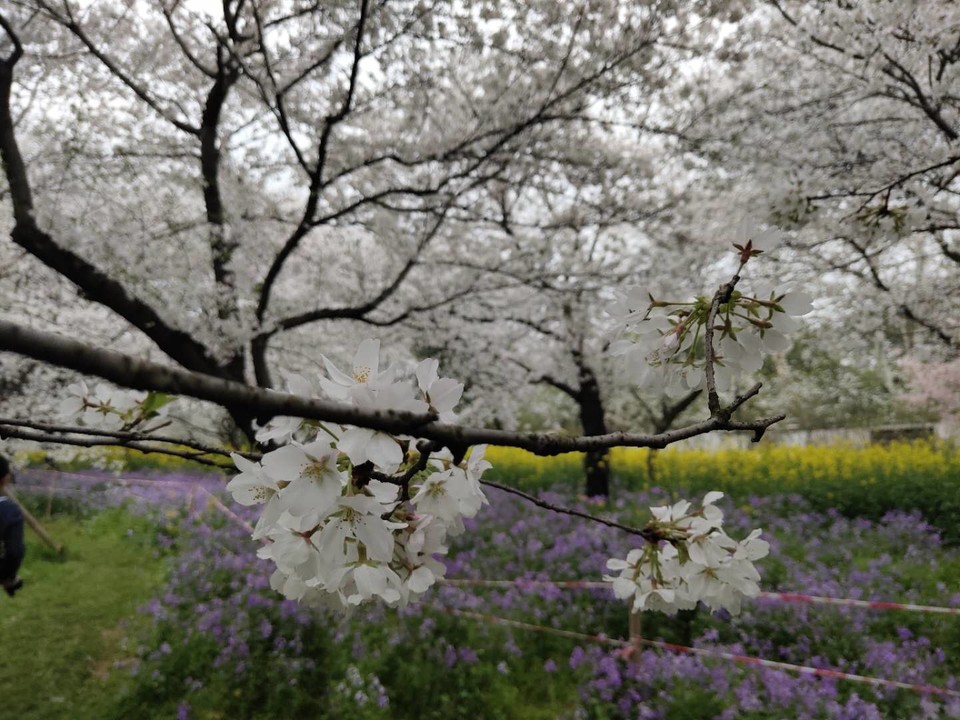 PIsaTtOvHun5_bUyi5FMJq9Y-dKepZpzCQ0bNRGsFy5x3p1K3BV3ERjq2KoKPCfz