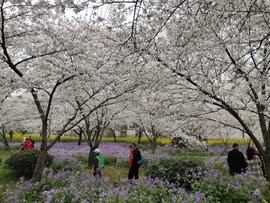 TUfDOxAY70XV5RurLNWnl-fNyNJR2usJsCOnkOrvtfuzM53a4Beq6xjqjgoATwpH