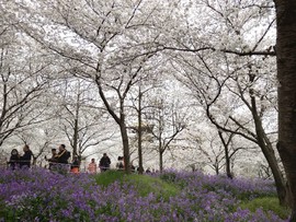 OuGxz9oxa6MDqBXQfTchdg1FrQYzBw4HbVtxGveDokJENM8P7fHTyX6ZfSAWkiul