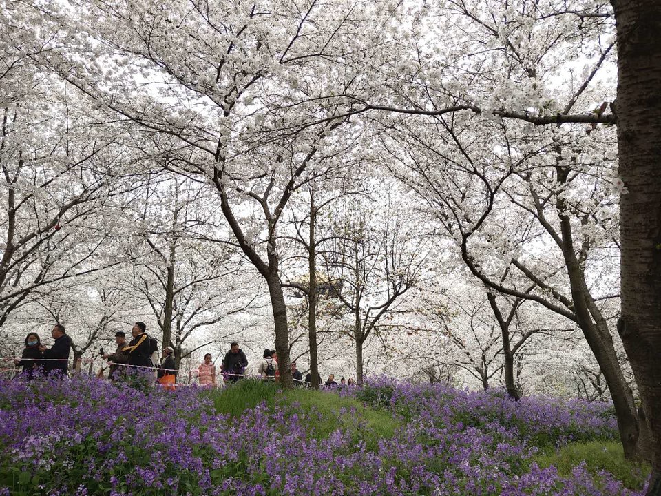 OuGxz9oxa6MDqBXQfTchdg1FrQYzBw4HbVtxGveDokJENM8P7fHTyX6ZfSAWkiul