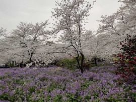 AlH693dJ_epHm0NjOLqEh5QIIHQu5nLIU7P7dAbj_F-vN_y8YBkpS8fZCzk90cT4