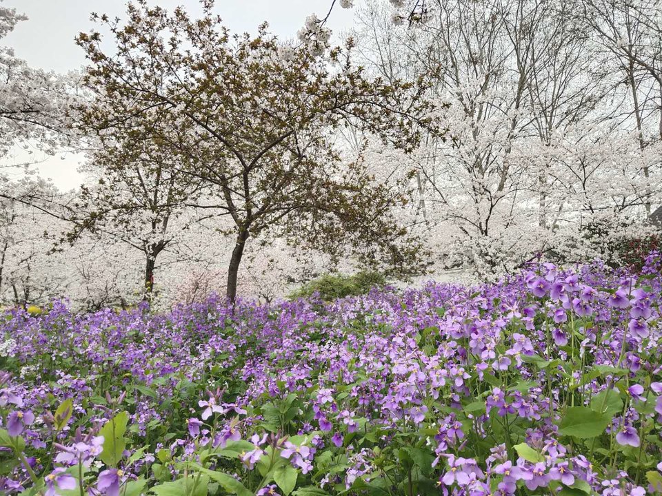 V0aFoEQEwRH5j9KMkphN-Zg4vyP4FXfxiGiV3noErf9J0SBD3Ajh0r5Pd9gtymKN