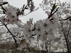 zOLRvdwC8SxPjexjONrH3_IJ5BCYOELYMVUSOnfJVPUFIsSzwLxacWSHMN5YBXKh