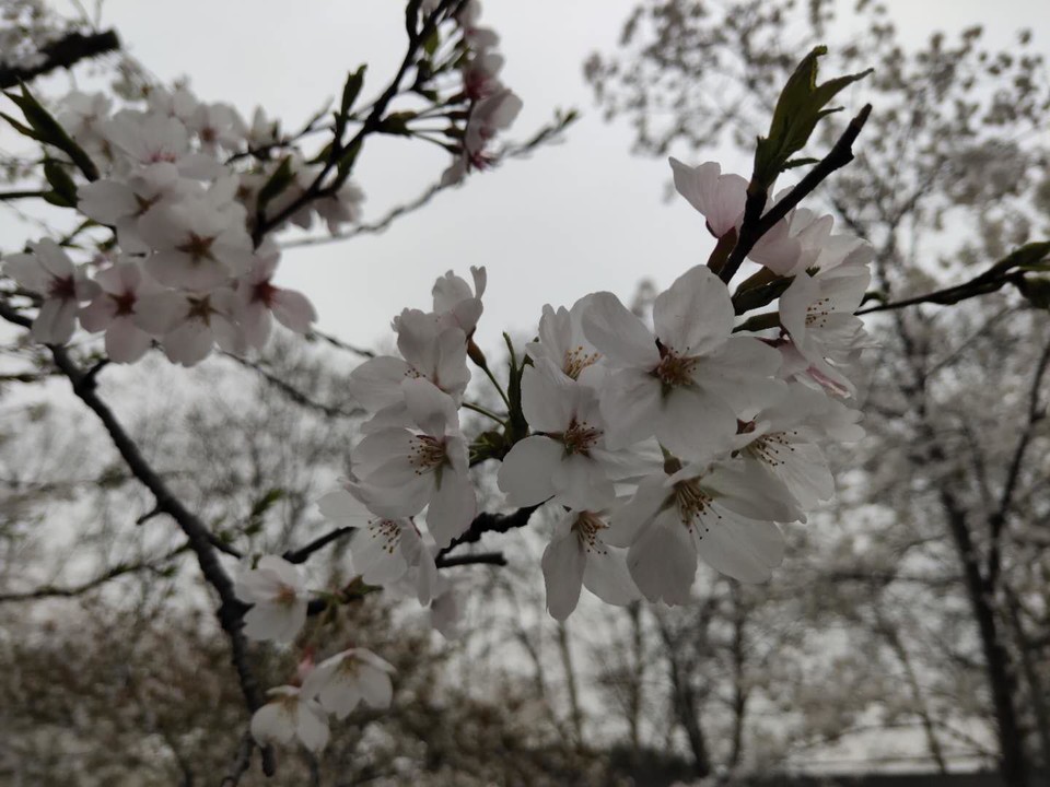 zOLRvdwC8SxPjexjONrH3_IJ5BCYOELYMVUSOnfJVPUFIsSzwLxacWSHMN5YBXKh