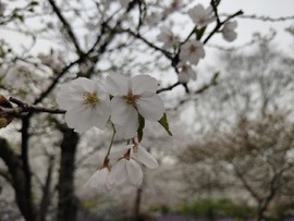 N7RtEHC8kQ7kdmvztlrPS2Y4LEgdD4piN8ezdo8MbZ8e-Me5jAy8a6SxKXNFeXc2