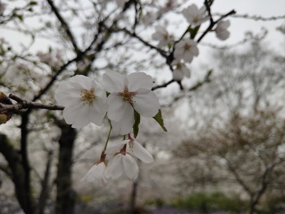 N7RtEHC8kQ7kdmvztlrPS2Y4LEgdD4piN8ezdo8MbZ8e-Me5jAy8a6SxKXNFeXc2