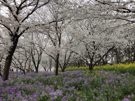 xHcckVt1xEgXiYuBDU0pI9UsoGLLcBs-o4dKLOwn0FVqn8iUFEjj93pdG9tnnOq3