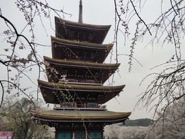 9MCfJE283Uh7WWMTJuW_GK6U3VOHMQurCT8ovqtN5uoejFH7_DP2fFyZmfhwCo5U