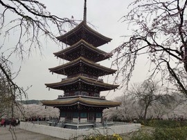 4u_tMnzgwmqvDMfNBpaeK3m3pezBatJ-759h8T7k1BbBqvd4dE7svwGjXJenhh24