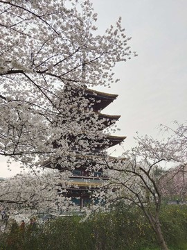 NVE2aVzvJR_Co7SxeIA3PlWJguz6fT3G2dM0IjQdYRcDqr5sg3PVRbSqwnxMqle-