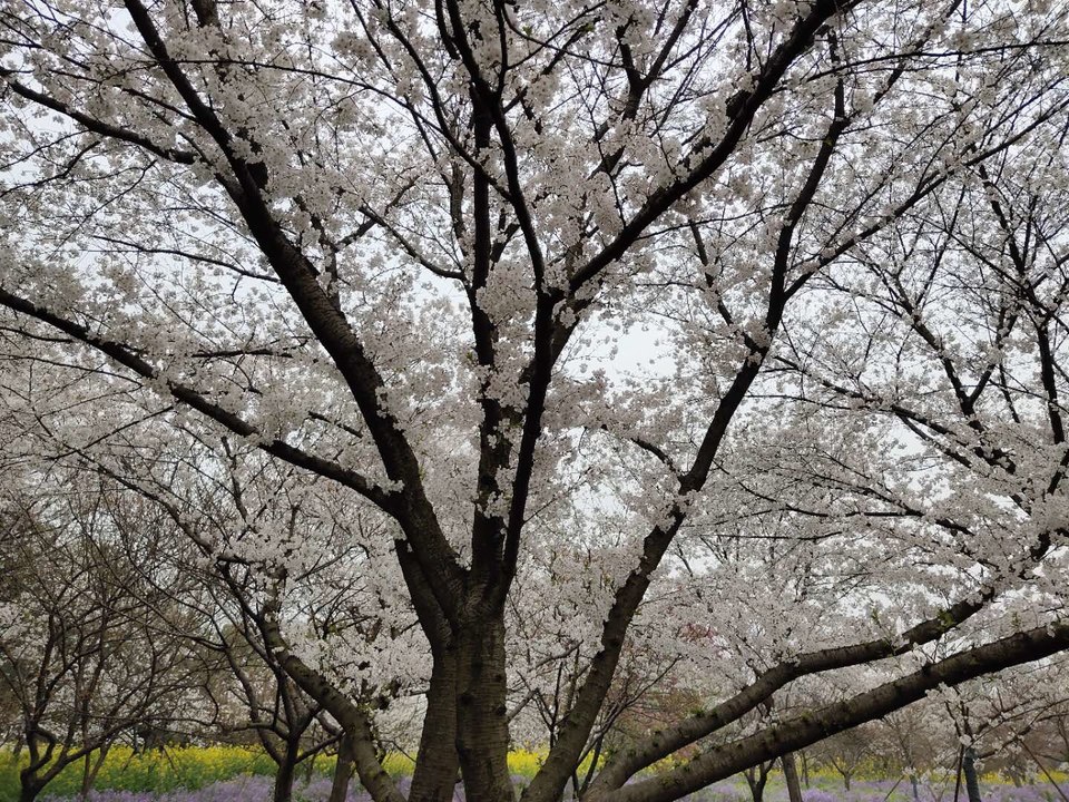 d2rDZqsld3ilkkYQf71Dx6-z90_udihsHfZHzc_SLHOqEXVBE0Lwg3bsXHJyReM3