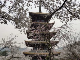 hB8H2TQHzwTbM_DcWbg7w_JHKGIGQFXDSrJG_nHnmkHfsX0tDAhna5SG3vbiwsZw