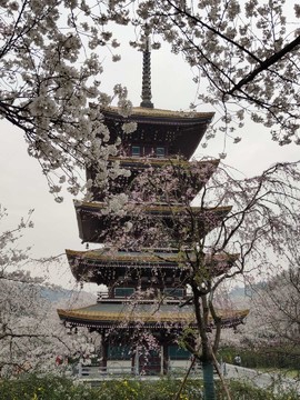 JhkmEdt__gyW1KyyTRF3RzeNBC80D8gxL3_awJVZw264FI77EW6VskOVS0XrfQqs