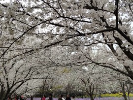 _9njSiB2frHB50mqicq0IXHVPTnwPHxi_hNhlukBmcnGwu_uQA_hOwJ7NJaVDOda