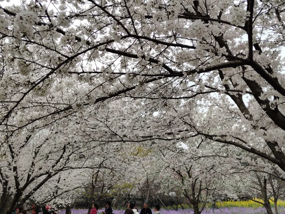 _9njSiB2frHB50mqicq0IXHVPTnwPHxi_hNhlukBmcnGwu_uQA_hOwJ7NJaVDOda