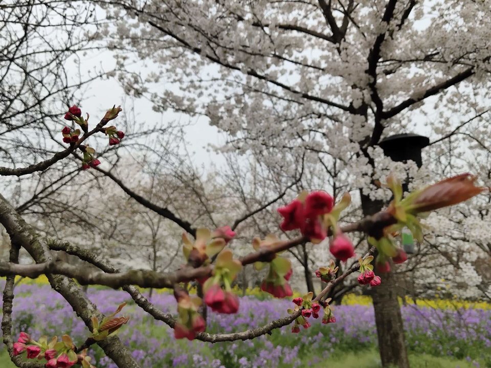 i2Aqw9a-j5se7fvPxDEBbU0fv_WMG7zcykA-FFXn-F7SKFx5SfYBwTz4ZIFqzNDY