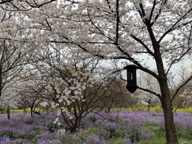 t4kr7ZeQqi-yB0fZnFXV89VtSUQZBCiUCq7YLH5L3eFm5PIrL8N_2HmVqHldQu5P