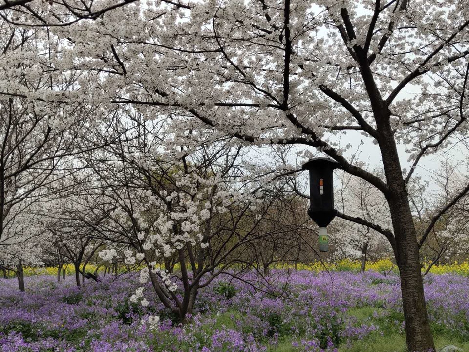 t4kr7ZeQqi-yB0fZnFXV89VtSUQZBCiUCq7YLH5L3eFm5PIrL8N_2HmVqHldQu5P