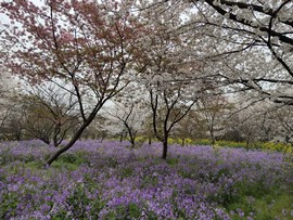 YTA0R7kZlxln3L9WoGl_HYEudo-Cls4S3x4PNCc5gtuJolqjokBRNN7qhViCedfF