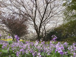 -HjBVpD4XlE4yxMjtsj35IQhZjU8K9e1I7Qxt6v5GuENhgnTHmrmCmSCRNKv7PTr