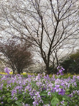 HfQ82DYbdy5j6yO392CCjAZnuXRNj4DFuuOHIIcBIpaxopM6ck-FQGZJeiWp4fY2