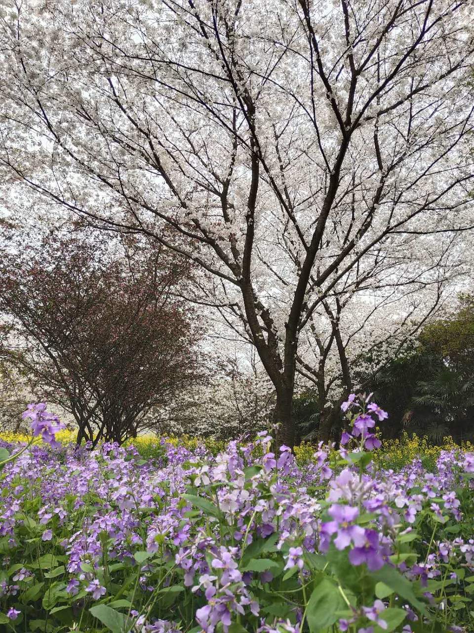 HfQ82DYbdy5j6yO392CCjAZnuXRNj4DFuuOHIIcBIpaxopM6ck-FQGZJeiWp4fY2