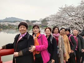 yhSwu5A25Ik2KL9Ndw-cv6A-g4SNLkLwPST_REEzz80EINeE8ZyEJv9ikgMt4Yzy