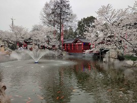 aqD1JzDJPZGYgMZYHumqE9lE6EYFHxpOyq3lpTF2iLKhCviio7vgiunWozU02i8e