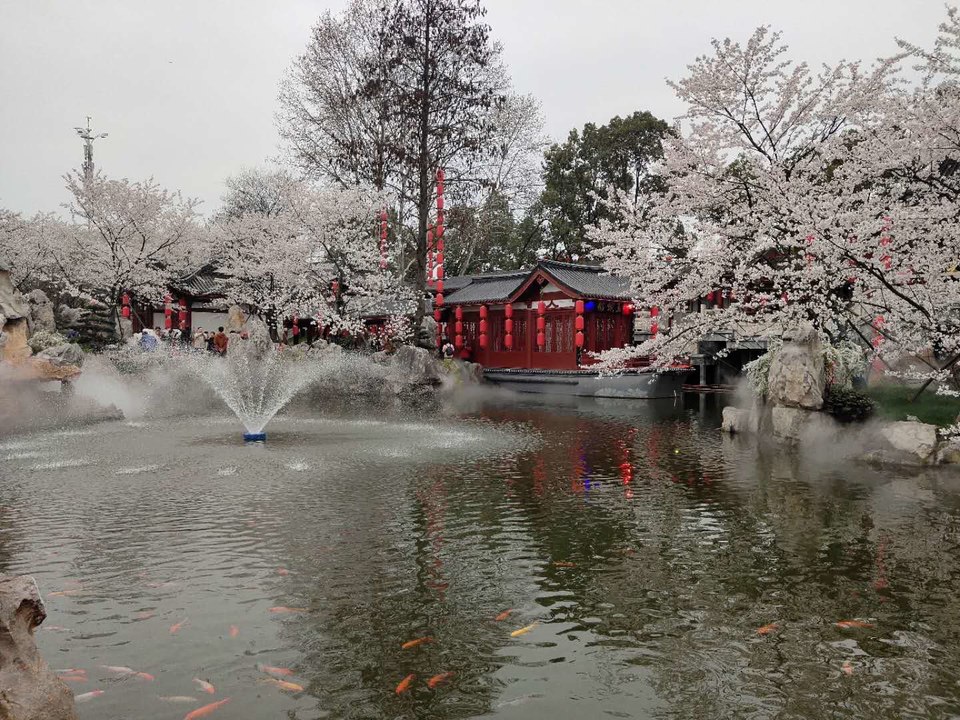 aqD1JzDJPZGYgMZYHumqE9lE6EYFHxpOyq3lpTF2iLKhCviio7vgiunWozU02i8e