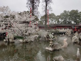 hD1cp-c98AlTNSuw28lvAvd1vClJ5wNLf-mQFIpFTzmUsUL40f7Xvn3WGQQN1TUy