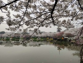 U0VJR4VVsanAWtWjLm_czddPvDt66BzWj3fW6O4YZr3mdJeVPD9AiRz7GL4z76sR