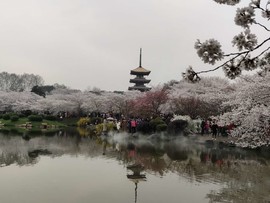 A7-L0PQgKG_jM4M4xCZ95nnnPHyrohw0MsDjkrEvb26BE683beEg3BpiOPLbXbOQ