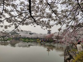 L-UC1K_eip88Ctn4FtgYJkUGO1mOcNi2xQu-MzuxMp6hsdgw8mBM4O7uDNV5tvD7