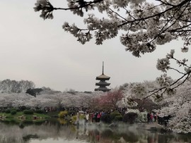 UywfECc5OjSiVcwwNhiWw79DiZEgxI5Lk8P6_8vPcjOlWt8b3A6Q3hv5Z7dNHM5Y