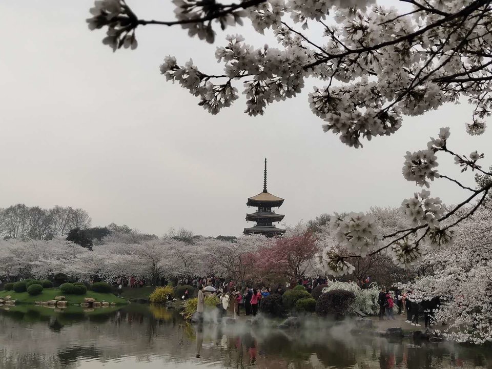 UywfECc5OjSiVcwwNhiWw79DiZEgxI5Lk8P6_8vPcjOlWt8b3A6Q3hv5Z7dNHM5Y